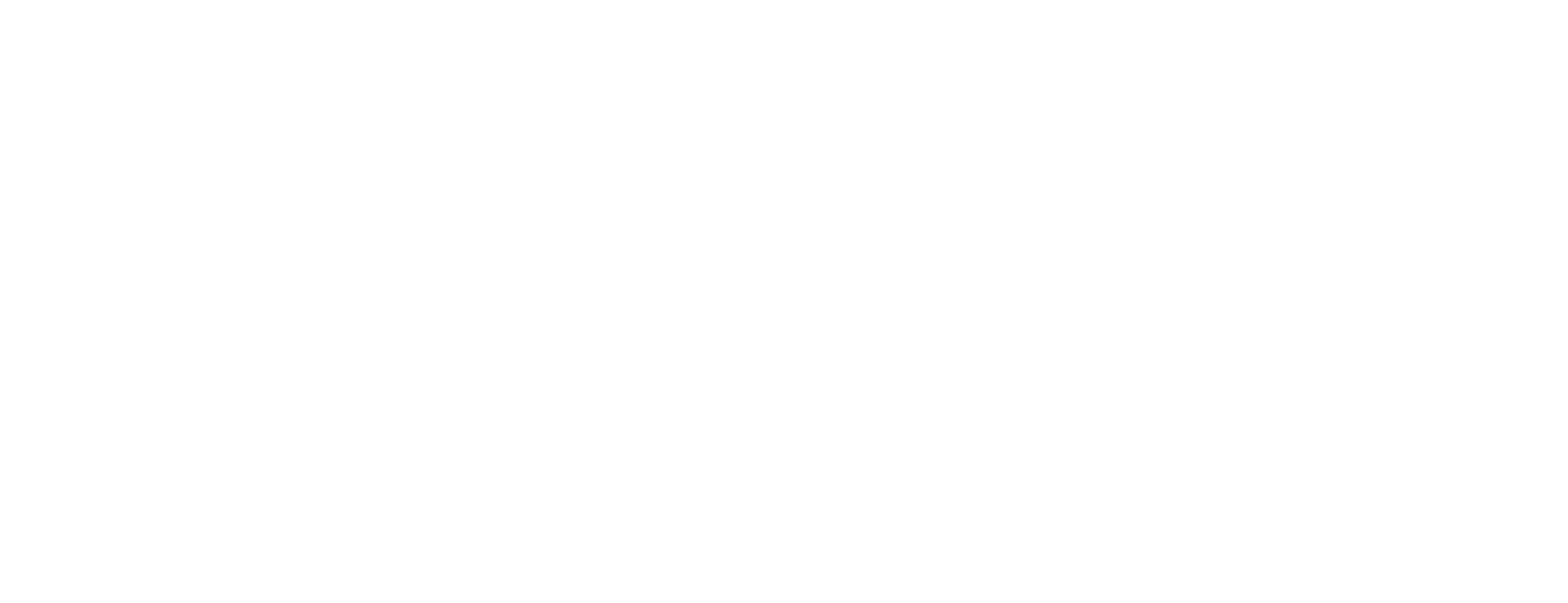 Stiefel Philanthropic Foundation Logo